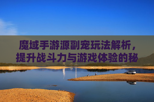 魔域手游源副宠玩法解析，提升战斗力与游戏体验的秘籍