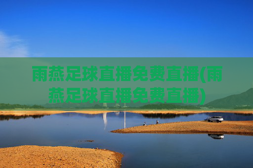 雨燕足球直播免费直播(雨燕足球直播免费直播)