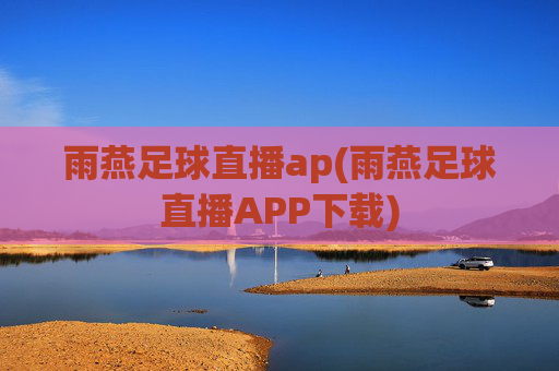 雨燕足球直播ap(雨燕足球直播APP下载)