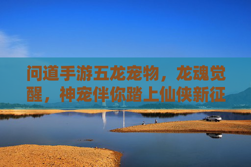 问道手游五龙宠物,龙魂觉醒,神宠伴你踏上仙侠新征途