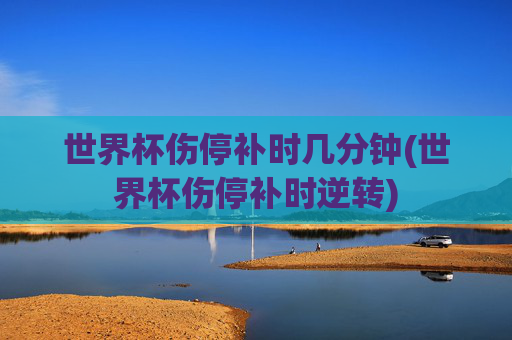 世界杯伤停补时几分钟(世界杯伤停补时逆转)