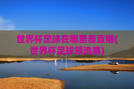世界杯足球在哪里看直播(世界杯足球预选赛)