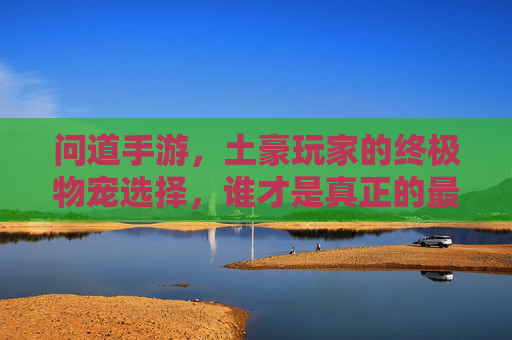 问道手游，土豪玩家的终极物宠选择，谁才是真正的最强？