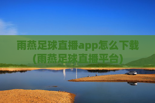 雨燕足球直播app怎么下载(雨燕足球直播平台)