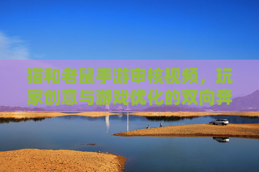 猫和老鼠手游审核视频,玩家创意与游戏优化的双向奔赴,猫和老鼠手游审核视频,玩家创意与游戏优化的双向奔赴