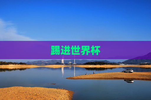 踢进世界杯