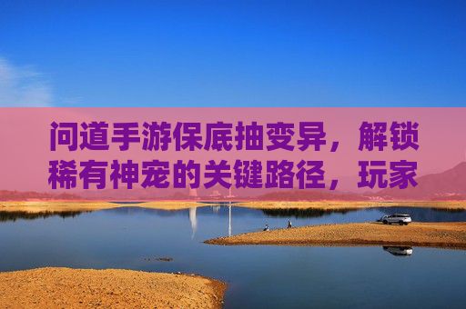 问道手游保底抽变异，解锁稀有神宠的关键路径，玩家如何把握机遇？问道手游保底抽变异，解锁稀有神宠的关键路径与机遇把握