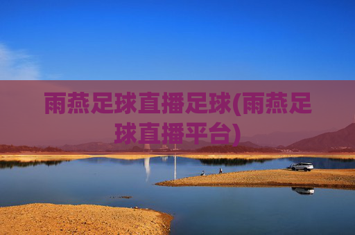 雨燕足球直播足球(雨燕足球直播平台)