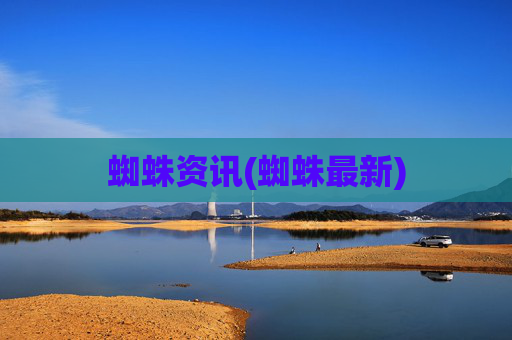 蜘蛛资讯(蜘蛛最新)