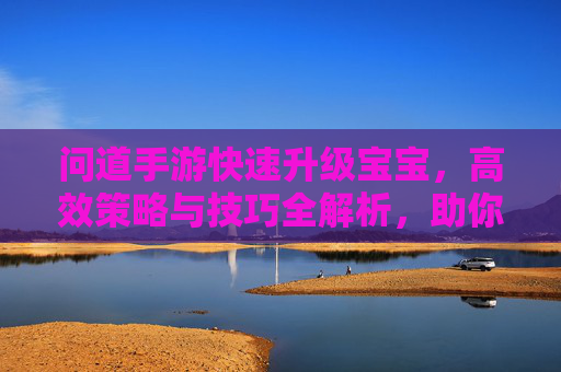 问道手游快速升级宝宝，高效策略与技巧全解析，助你宝宝实力暴涨，问道手游快速升级宝宝，高效策略与技巧全解析，助你宝宝实力暴涨