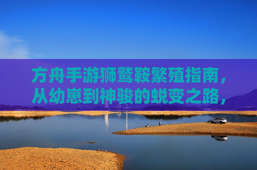 方舟手游狮鹫鞍繁殖指南，从幼崽到神骏的蜕变之路，方舟手游狮鹫鞍繁殖指南，从幼崽到神骏的蜕变之路