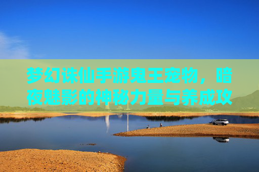梦幻诛仙手游鬼王宠物，暗夜魅影的神秘力量与养成攻略，梦幻诛仙手游鬼王宠物暗夜魅影，神秘力量与养成攻略
