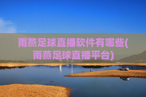 雨燕足球直播软件有哪些(雨燕足球直播平台)