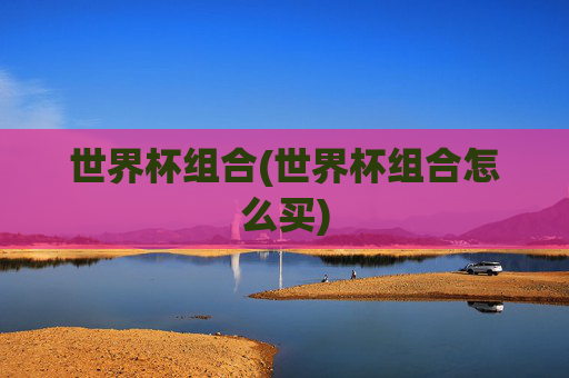 世界杯组合(世界杯组合怎么买)