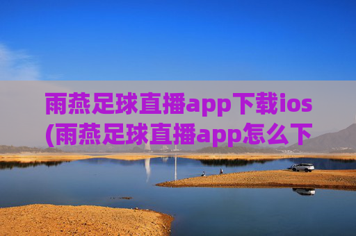 雨燕足球直播app下载ios(雨燕足球直播app怎么下载)