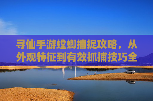寻仙手游螳螂捕捉攻略,从外观特征到有效抓捕技巧全解析,寻仙手游螳螂捕捉攻略,从外观特征到有效抓捕技巧全解析
