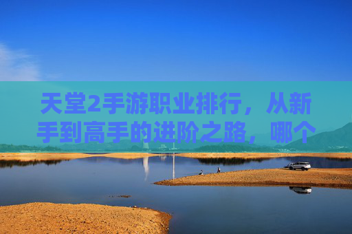 天堂2手游职业排行，从新手到高手的进阶之路，哪个职业才是你的神装？天堂2手游职业排行，从新手到高手的进阶之路，哪个职业是你的神装？
