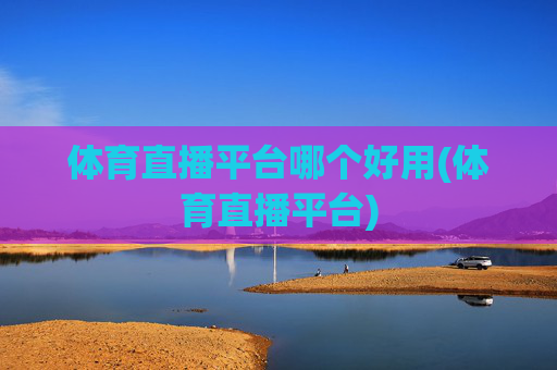 体育直播平台哪个好用(体育直播平台)
