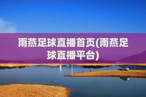 雨燕足球直播首页(雨燕足球直播平台)