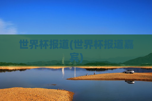 世界杯报道(世界杯报道嘉宾)