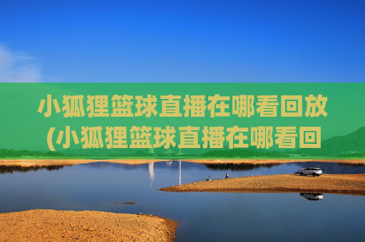 小狐狸篮球直播在哪看回放(小狐狸篮球直播在哪看回放啊)