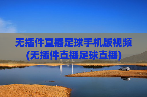 无插件直播足球手机版视频(无插件直播足球直播)