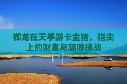 御龙在天手游卡金猪，指尖上的财富与趣味挑战