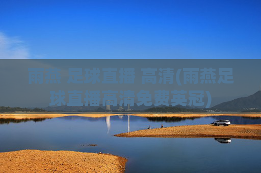 雨燕 足球直播 高清(雨燕足球直播高清免费英冠)