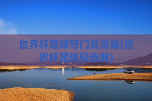 世界杯足球守门员是谁(世界杯足球预选赛)