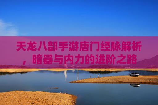 天龙八部手游唐门经脉解析,暗器与内力的进阶之路
