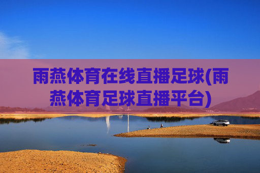 雨燕体育在线直播足球(雨燕体育足球直播平台)