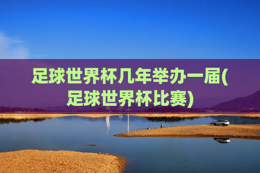 足球世界杯几年举办一届(足球世界杯比赛)