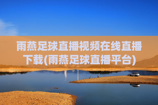 雨燕足球直播视频在线直播下载(雨燕足球直播平台)
