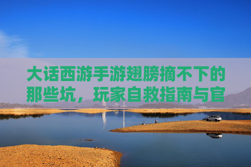 大话西游手游翅膀摘不下的那些坑，玩家自救指南与官方回应