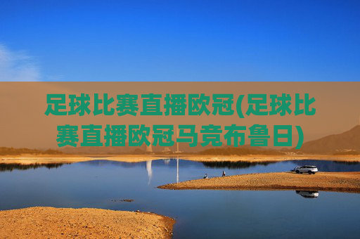 足球比赛直播欧冠(足球比赛直播欧冠马竞布鲁日)