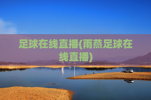 足球在线直播(雨燕足球在线直播)