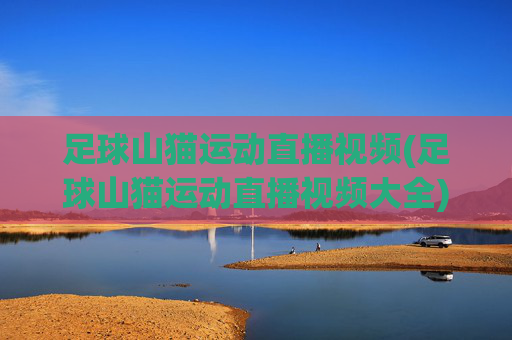 足球山猫运动直播视频(足球山猫运动直播视频大全)