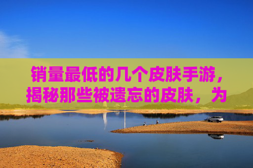 销量最低的几个皮肤手游,揭秘那些被遗忘的皮肤,为何难以吸引玩家?销量最低的几个皮肤手游,揭秘那些被遗忘的皮肤,为何难以吸引玩家?