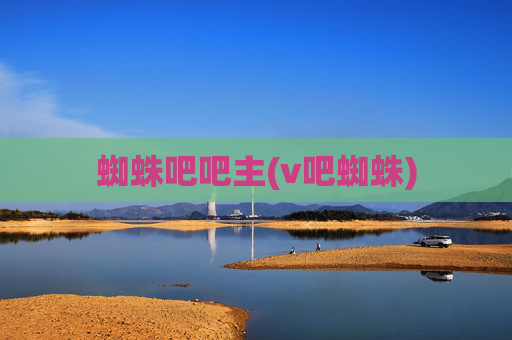 蜘蛛吧吧主(v吧蜘蛛)