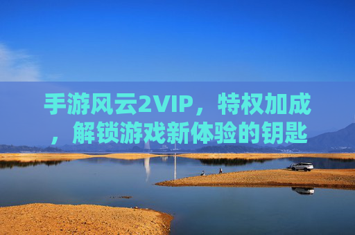 手游风云2VIP,特权加成,解锁游戏新体验的钥匙