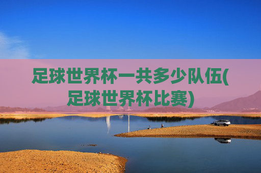 足球世界杯一共多少队伍(足球世界杯比赛)