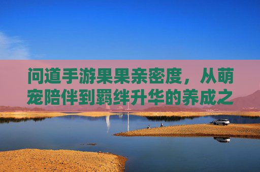 问道手游果果亲密度,从萌宠陪伴到羁绊升华的养成之路
