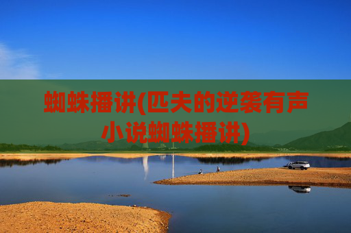 蜘蛛播讲(匹夫的逆袭有声小说蜘蛛播讲)