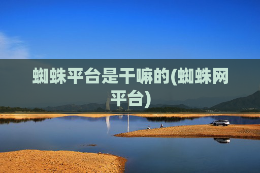 蜘蛛平台是干嘛的(蜘蛛网平台)