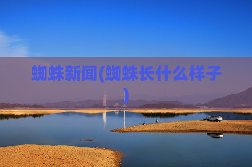 蜘蛛新闻(蜘蛛长什么样子)