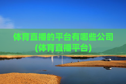 体育直播的平台有哪些公司(体育直播平台)