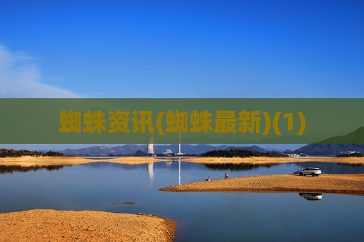 蜘蛛资讯(蜘蛛最新)(1)