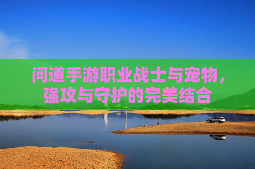 问道手游职业战士与宠物，强攻与守护的完美结合