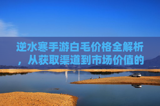 逆水寒手游白毛价格全解析,从获取渠道到市场价值的深度探讨
