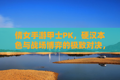 倩女手游甲士PK,硬汉本色与战场博弈的极致对决,倩女手游甲士PK,硬汉本色与战场博弈的极致对决